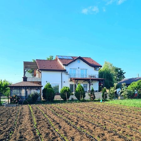 Nobless Villa Mereni エクステリア 写真
